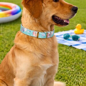 Pode incluir: Um golden retriever usando uma coleira azul clara com um padrão colorido. A coleira tem uma fivela dourada. O cão está sentado na grama verde com uma toalha de praia, óculos de sol e um patinho de borracha no fundo.