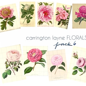 DOWNLOAD immediato Ephemera Pack 6 - Documenti digitali Vintage Floral Botanicals Carrington Layne Scrapbooking Papercrafting Collage JPEG & PdF