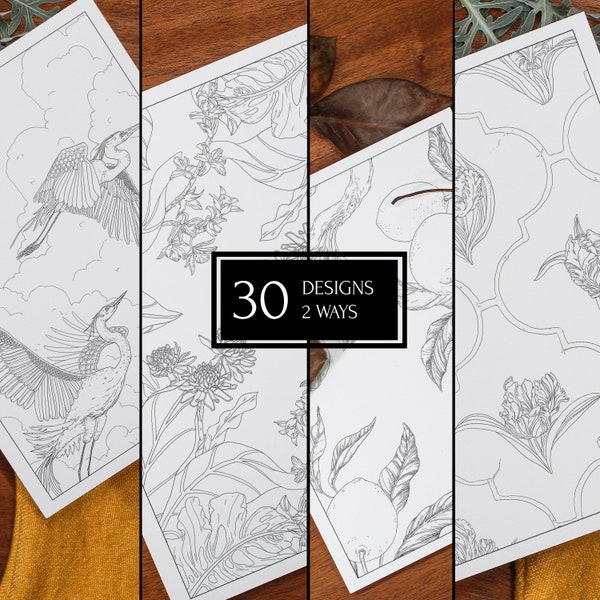 PDF - The New Chinoiserie Coloring Book: Botanical, Animal, & Ceramic Motifs