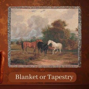 May include: Woven tapestry or blanket featuring a pastoral scene with horses. The artwork depicts a brown horse, a black horse, a white horse, and a foal in a field. The blanket has a fringed edge and is displayed on a wall.