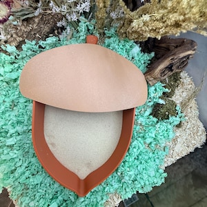 May include: An acorn-shaped container featuring a smooth, light tan cap and a deep orange base. The interior of the base is filled with a fine, light beige sand-like material. The object has a distinct, rounded silhouette with a small stem.