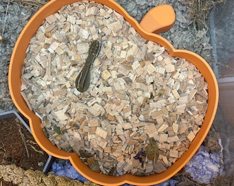 May include: An orange, apple-shaped pet food dish filled with wood shavings. A small, dark-colored spoon rests inside the dish. The dish is surrounded by other pet supplies, including a millet spray and dried grasses.