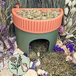 Peut inclure: Un abri pour animal de compagnie semi-circulaire vert olive avec un rebord cannelé corail texturé rempli de mousse séchée. Un logo circulaire représentant une rose rose, des fleurs violettes et un petit hamster brun est situé en bas à gauche.