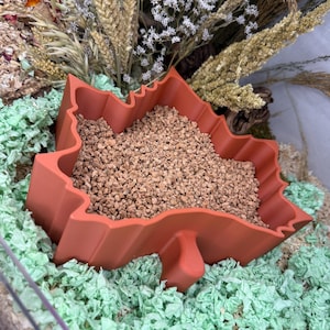 Peut inclure: Un bol pour animaux de compagnie en forme de feuille, de couleur terre cuite, rempli de petits morceaux de litière brun clair. Le bol repose sur un lit de papier déchiqueté vert, avec des plantes séchées en arrière-plan. Ce bol est conçu pour les petits animaux.