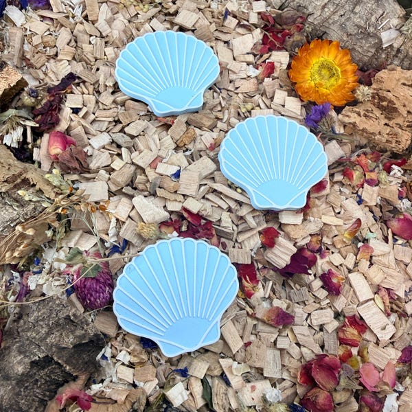 Seashell Stepping Stones – Enclosure Decoration (Set of 3) - Seashell-Inspired Stepping Stone Design - Pastel And Vibrant Colours