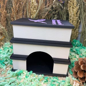 Può includere: Una struttura a gradini bianca e nera con un'ampia apertura ad arco alla base. La superficie superiore presenta la sagoma viola di una creatura volante e la scritta Enchanted Creatures stampata in lettere viola su uno sfondo nero.