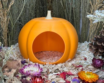 Pumpkin Hide: Hamster Hideout - Small Pet Hide