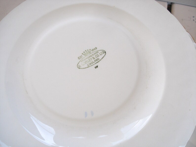 Staffordshire Aynsley And Co England Maple Leaf Design Salad Plates Dinner Plates.