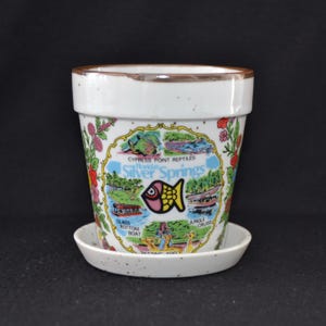 May include: White ceramic flower pot with a colorful illustration of Florida's Silver Springs. The illustration includes a fish, a glass bottom boat, a jungle cruise, and a petting zoo. The pot has a matching saucer.