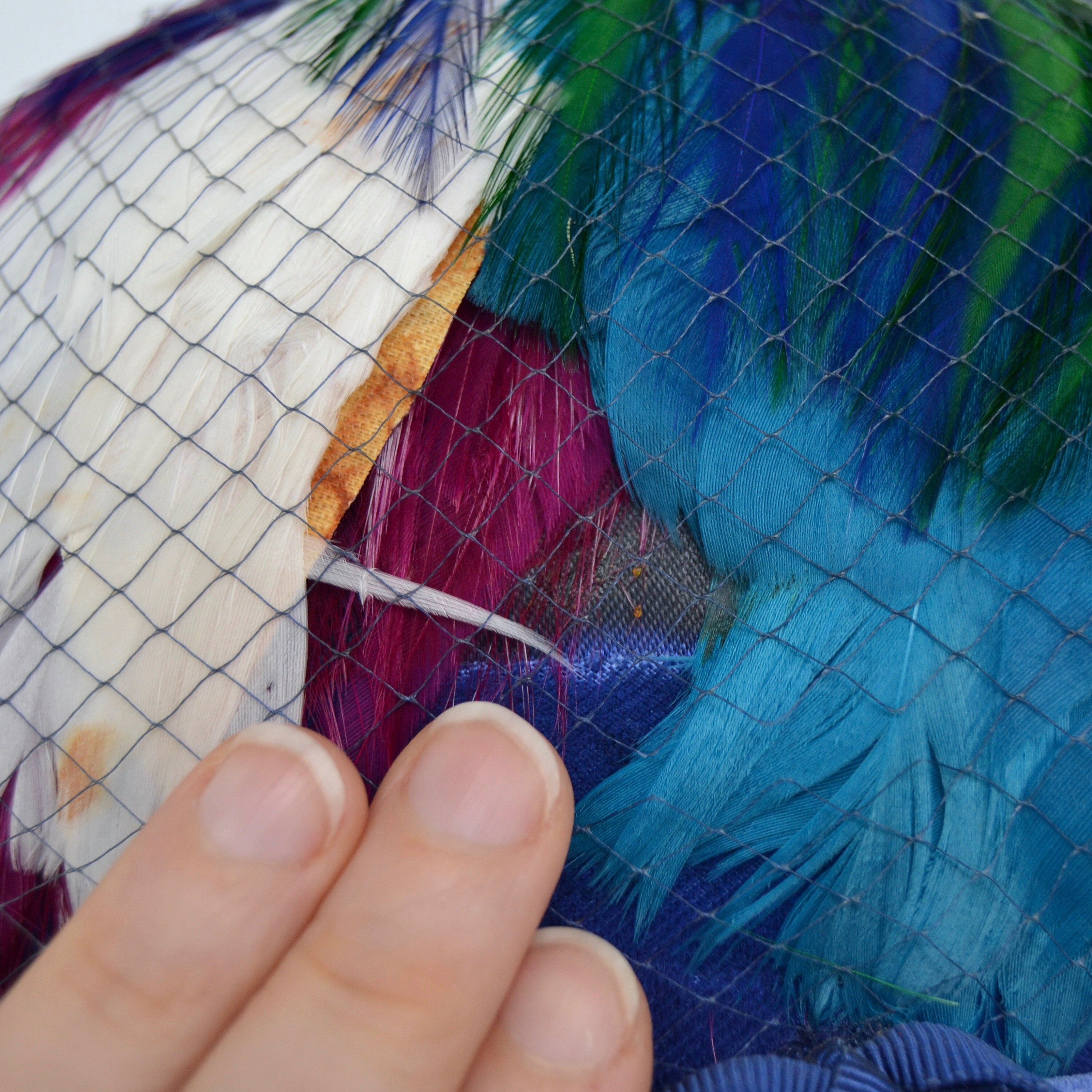 Vintage 1960s Blue Velvet and Feather Hat With Netting Union  display picture 2