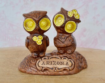 Vintage Arizona Souvenir Ceramic Salt and Pepper Shaker Set with Owls by Treasure Craft Made in USA