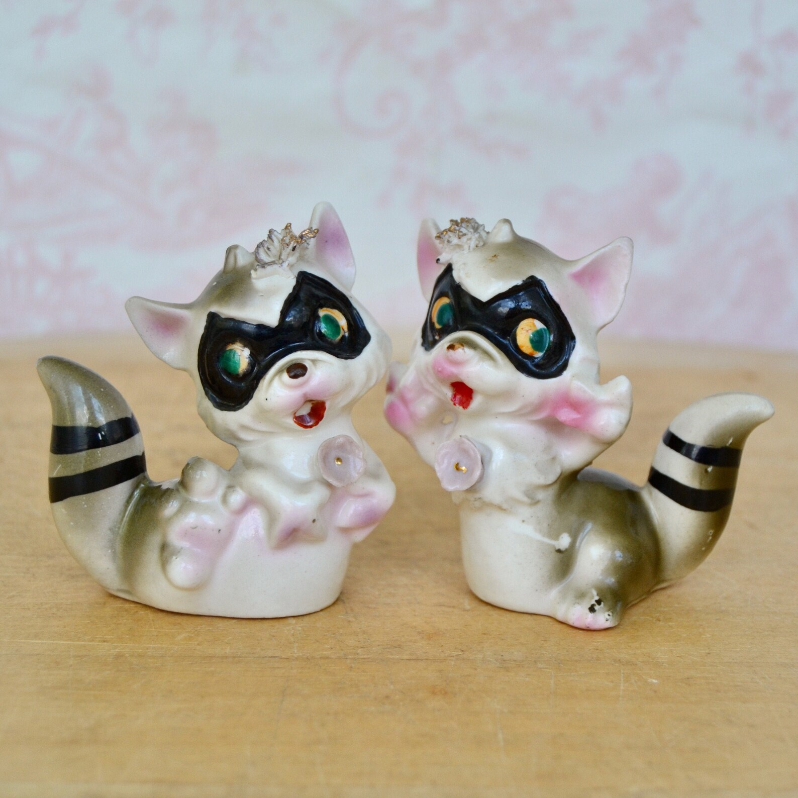 raccoon salt and pepper shakers