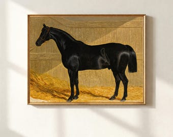 Victorian Black Horse Painting, Equestrian Farmhouse Animal Decor, Vintage Stallion Portrait, European Old Money Wall Art, Digital Download