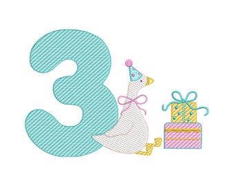 Silly Goose 3rd Birthday Embroidery Design: Kids Party Pattern (Digital Download)