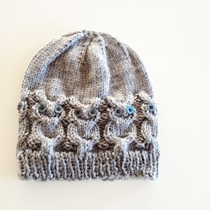 May include: Gray knitted hat with a cable knit pattern and owl-shaped buttons.