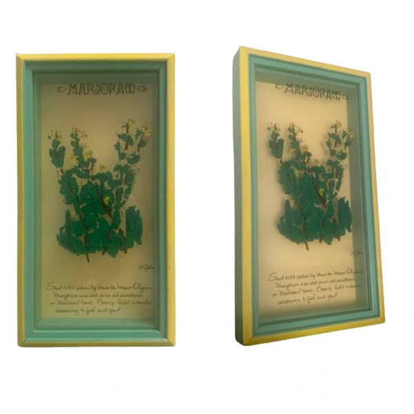 Marjoram Herb Botanical Wall Art // Mid Century Home Kitchen Shadow Box // Green Yellow Decor