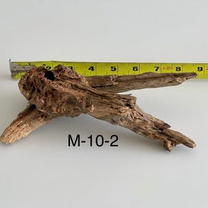 May include: A piece of brown driftwood with a textured, weathered surface and a hollow knot, positioned next to a yellow measuring tape showing a length of approximately 9 inches. The text M-10-2 is printed in black below the wood piece.