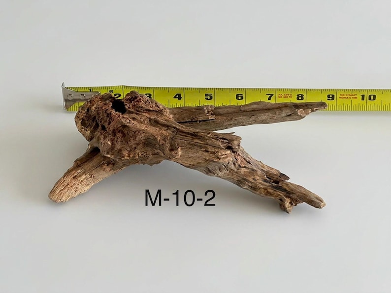 May include: A piece of brown driftwood with a textured, weathered surface and a hollow knot, positioned next to a yellow measuring tape showing a length of approximately 9 inches. The text M-10-2 is printed in black below the wood piece.