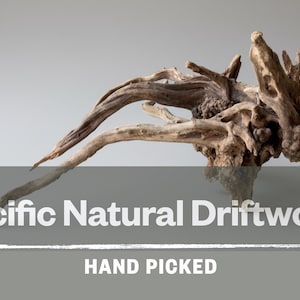 May include: A piece of weathered brown driftwood with complex, gnarled branches and a textured surface. The image includes the white text Pacific Natural Driftwood and HAND PICKED, displayed against a solid gray background with a horizontal line.