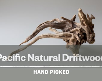 Pacific Natural Driftwood Aquarium Decoration Aquascape Hardscape