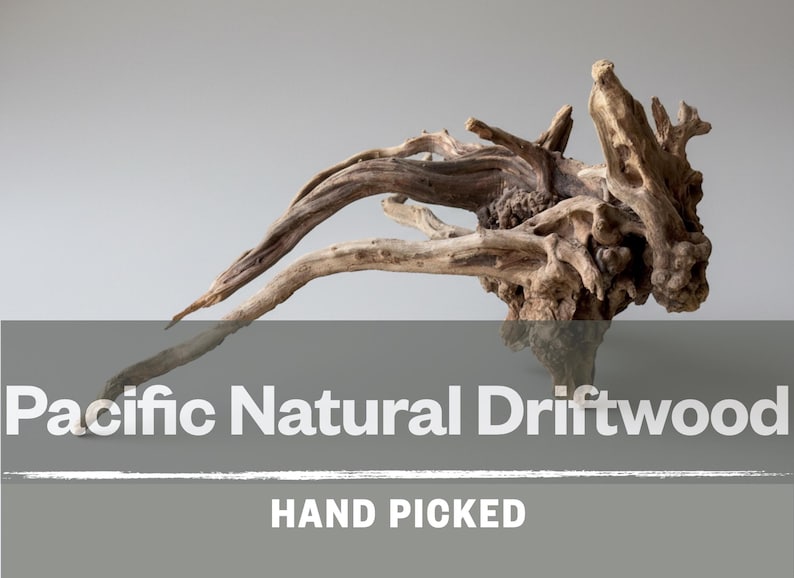 May include: A piece of weathered brown driftwood with complex, gnarled branches and a textured surface. The image includes the white text Pacific Natural Driftwood and HAND PICKED, displayed against a solid gray background with a horizontal line.