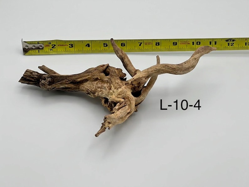 May include: A piece of light brown driftwood with a textured, gnarled surface and multiple branching limbs. A yellow measuring tape is positioned above the wood, showing a length of approximately 12 inches. The text L-10-4 is visible.