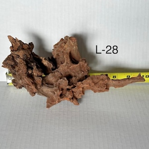 May include: A piece of brown driftwood labeled L-28, featuring a complex, gnarled texture with multiple protrusions and hollows. A yellow measuring tape is positioned behind the wood, indicating a length of approximately 10.5 inches.