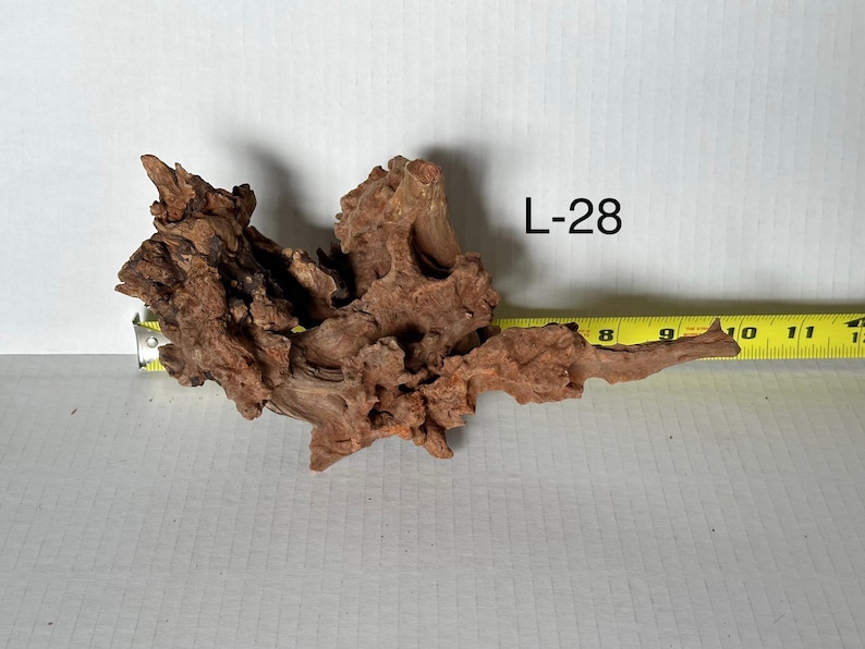 May include: A piece of brown driftwood labeled L-28, featuring a complex, gnarled texture with multiple protrusions and hollows. A yellow measuring tape is positioned behind the wood, indicating a length of approximately 10.5 inches.