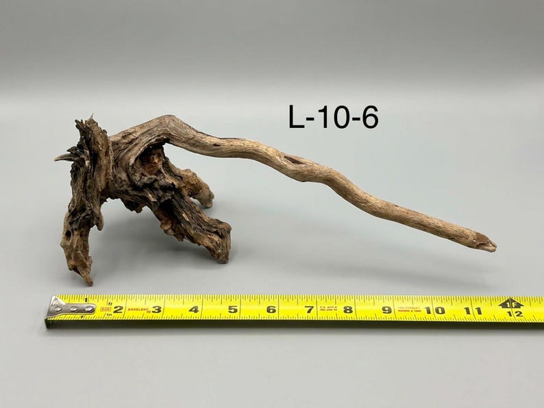 May include: A piece of brown driftwood labeled L-10-6, featuring a gnarled, textured root base and a long, slender branch extending to the right, positioned above a yellow measuring tape that shows a length of approximately 11.5 inches.