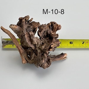 May include: A dark brown piece of driftwood with a gnarled, textured surface labeled M-10-8. A yellow measuring tape is positioned behind the wood, showing a width of approximately 6.5 inches from the leftmost tip to the rightmost edge.