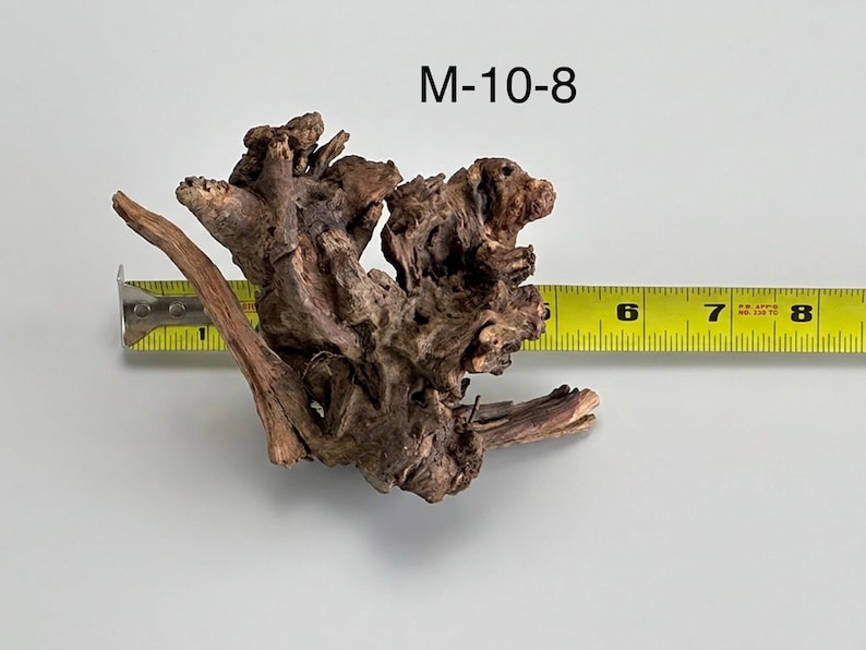May include: A dark brown piece of driftwood with a gnarled, textured surface labeled M-10-8. A yellow measuring tape is positioned behind the wood, showing a width of approximately 6.5 inches from the leftmost tip to the rightmost edge.