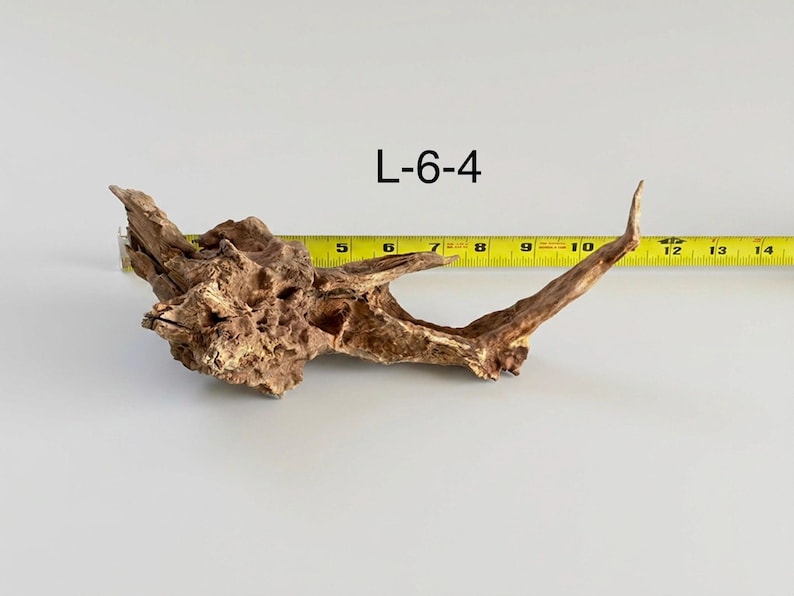 May include: A piece of brown driftwood labeled L-6-4, positioned next to a yellow measuring tape that shows the object spans approximately 11 inches in length. The wood features a textured, weathered surface with a pointed, extended branch.