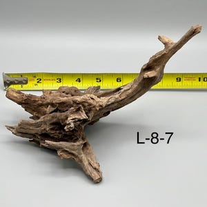 May include: A piece of brown driftwood with a textured, weathered surface, positioned in front of a yellow measuring tape that shows a length of approximately 10 inches. The text L-8-7 is printed in black on the lower right side of the object.