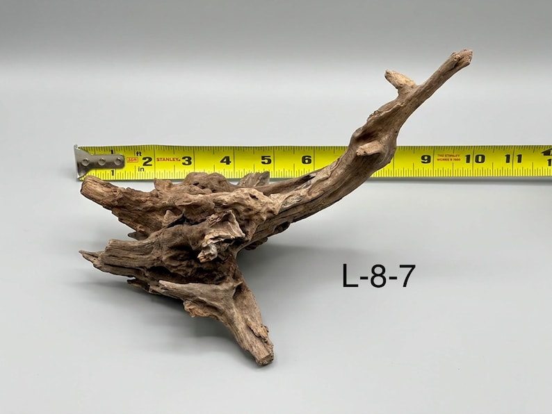 May include: A piece of brown driftwood with a textured, weathered surface, positioned in front of a yellow measuring tape that shows a length of approximately 10 inches. The text L-8-7 is printed in black on the lower right side of the object.