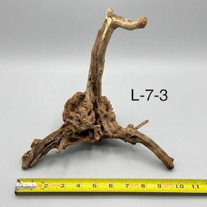 May include: A piece of light brown driftwood with a textured, gnarled base and a single upward-curving branch. The wood is labeled L-7-3 and is positioned next to a yellow measuring tape showing a width of approximately 13 inches.