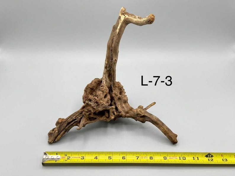 May include: A piece of light brown driftwood with a textured, gnarled base and a single upward-curving branch. The wood is labeled L-7-3 and is positioned next to a yellow measuring tape showing a width of approximately 13 inches.
