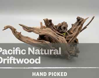 Pacific Natural Driftwood Aquarium Decoration Aquascape Hardscape