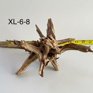 May include: A piece of brown driftwood with multiple gnarled branches extending outward. The text XL-6-8 is printed in black. A yellow measuring tape is positioned behind the wood, showing a width of approximately 15 inches.