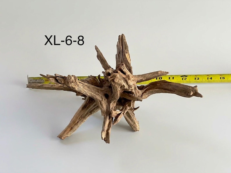 May include: A piece of brown driftwood with multiple gnarled branches extending outward. The text XL-6-8 is printed in black. A yellow measuring tape is positioned behind the wood, showing a width of approximately 15 inches.