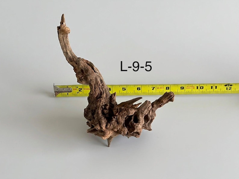 May include: A piece of brown driftwood labeled L-9-5, positioned in front of a yellow measuring tape. The wood features a gnarled, textured surface with multiple branches and knots, measuring approximately 8 inches in total width.