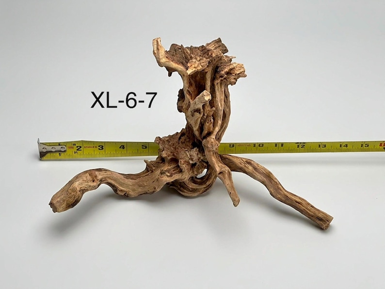 May include: A light brown piece of driftwood labeled XL-6-7, featuring a gnarled, twisted structure with multiple protruding branches. A yellow measuring tape is positioned behind the wood, showing a total width of approximately 15 inches.