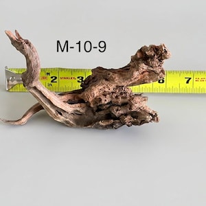 May include: A piece of brown driftwood labeled M-10-9, positioned in front of a yellow measuring tape. The wood features a gnarled, textured surface with an elongated branch extending upward and a wider, knotted base measuring about 8 inches long.