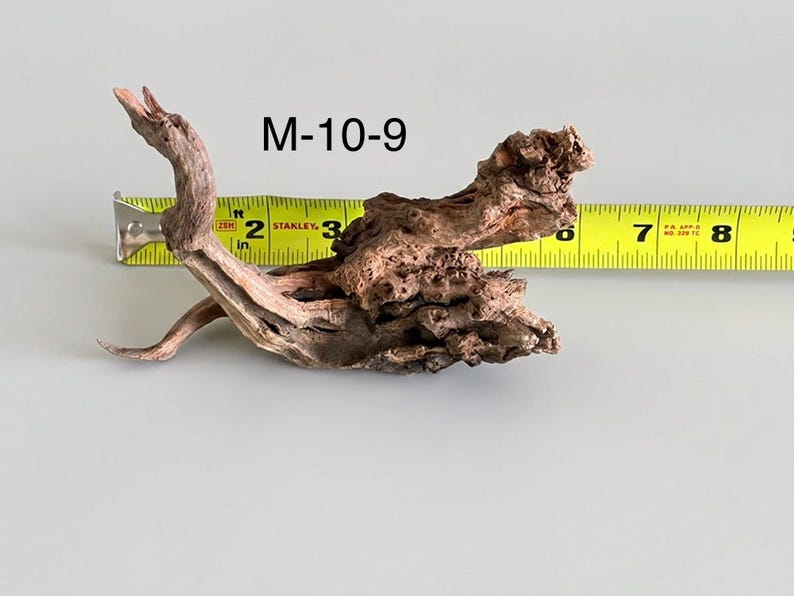 May include: A piece of brown driftwood labeled M-10-9, positioned in front of a yellow measuring tape. The wood features a gnarled, textured surface with an elongated branch extending upward and a wider, knotted base measuring about 8 inches long.