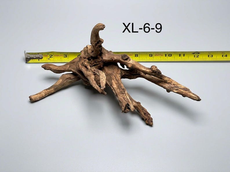 May include: A piece of brown driftwood with multiple branching limbs, labeled XL-6-9. A yellow measuring tape is positioned behind the wood, showing a width of approximately 11 inches from the leftmost tip to the rightmost edge of the wood.