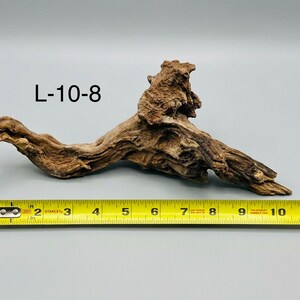 May include: A piece of brown driftwood labeled L-10-8, positioned above a yellow Stanley measuring tape that shows the object is approximately 10.5 inches long. The wood has a textured, weathered surface with a prominent central protrusion.