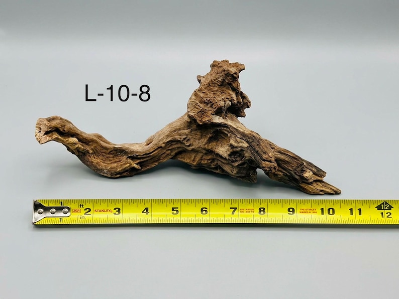 May include: A piece of brown driftwood labeled L-10-8, positioned above a yellow Stanley measuring tape that shows the object is approximately 10.5 inches long. The wood has a textured, weathered surface with a prominent central protrusion.