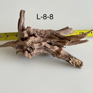 May include: A piece of brown driftwood labeled L-8-8, positioned against a yellow measuring tape that shows a length of approximately 12 inches. The wood features a textured, weathered surface with multiple jagged branches and natural crevices.