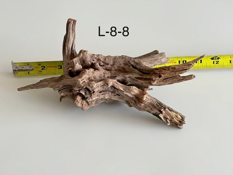 May include: A piece of brown driftwood labeled L-8-8, positioned against a yellow measuring tape that shows a length of approximately 12 inches. The wood features a textured, weathered surface with multiple jagged branches and natural crevices.