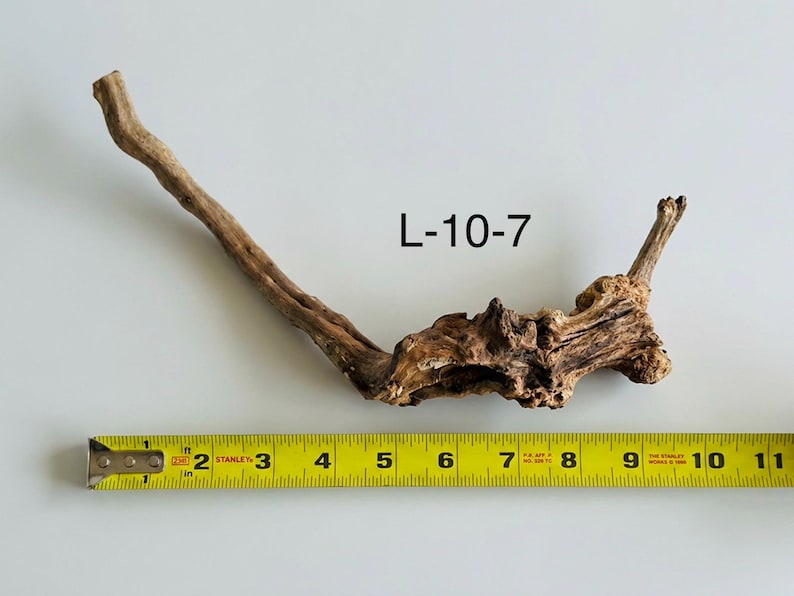 May include: A piece of light brown driftwood with a textured, gnarled surface and a long, thin branch extending to the left. The text L-10-7 is printed above the wood, which is positioned next to a yellow measuring tape showing 11 inches.