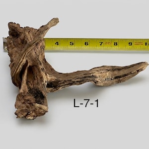 May include: A piece of brown driftwood with a textured, weathered surface and irregular branches. A yellow measuring tape is positioned behind the wood, showing a length of approximately 8 inches. The text L-7-1 is printed below the driftwood.